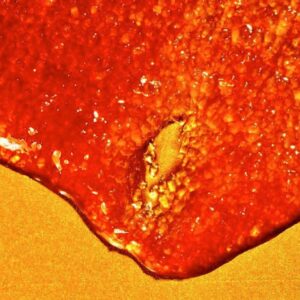 Alternative view of Le Chocolat Citrus Foaming Face Scrub